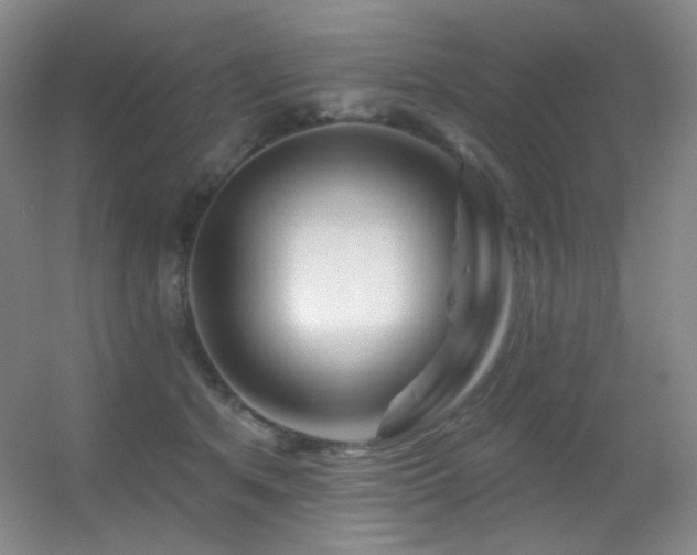X0000055520513200508121047