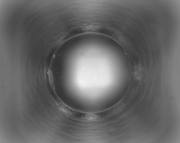 X0000055520514200508121047