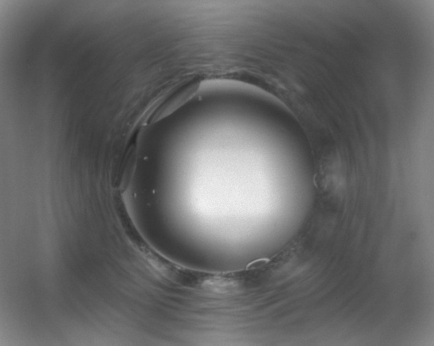 X0000055520515200508121047