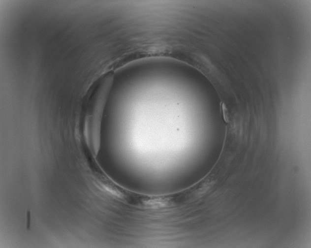 X0000055520516200508121047