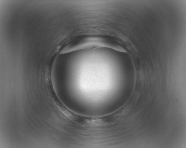 X0000055520517200508121047