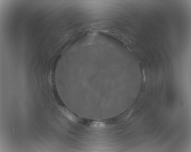 X0000055520519200508121047