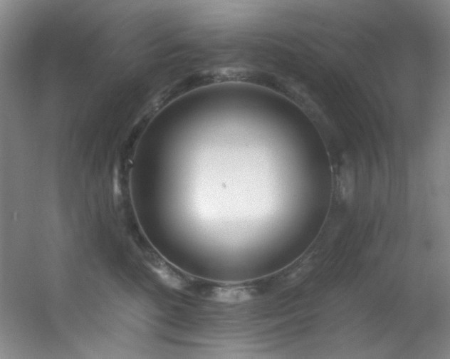 X0000055520520200508121047