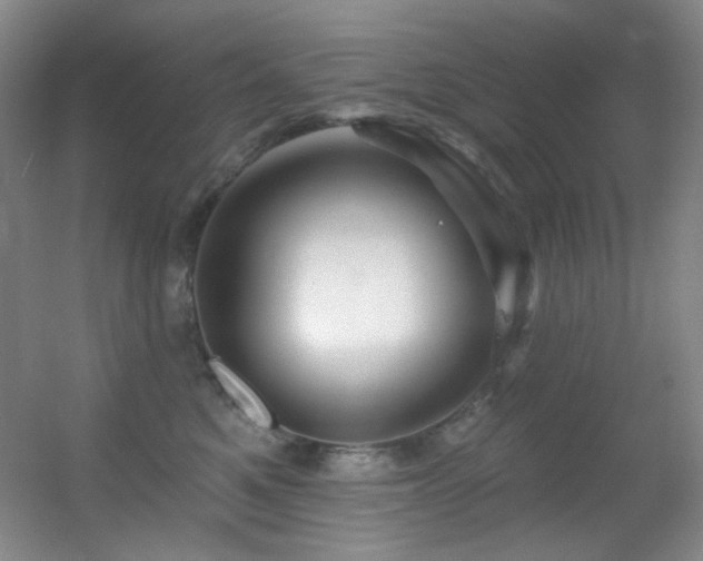 X0000055520521200508121047