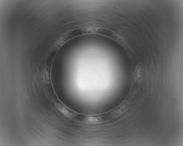 X0000055520522200508121047