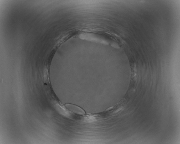 X0000055520523200508121046