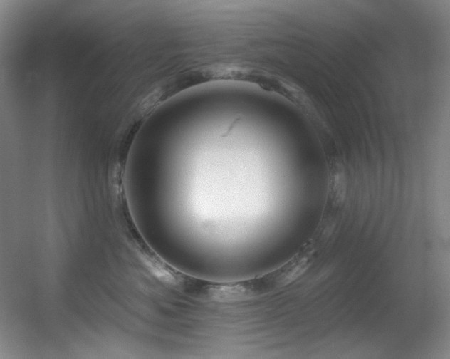 X0000055520525200508121046