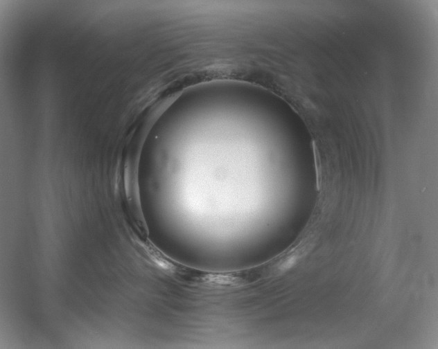 X0000055520528200508121046