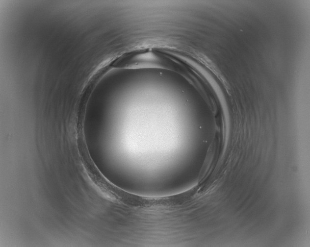 X0000055520530200508121046