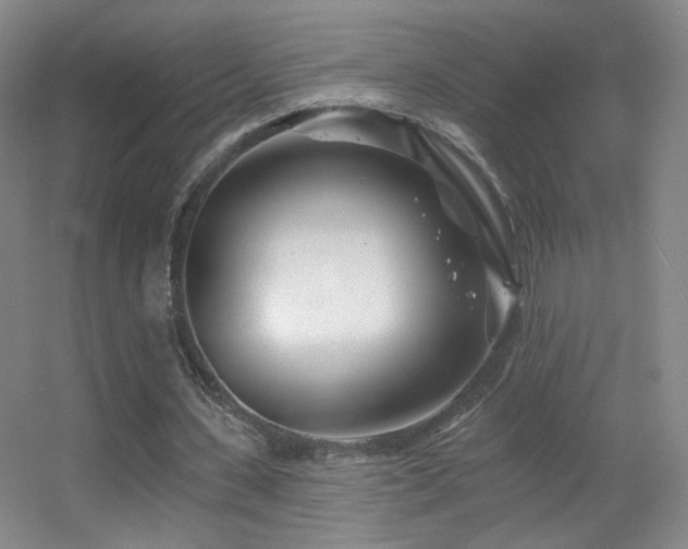 X0000055520531200508121046