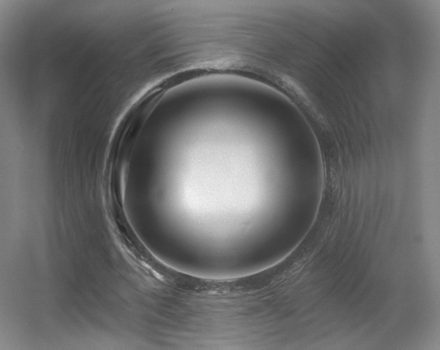 X0000055520532200508121046