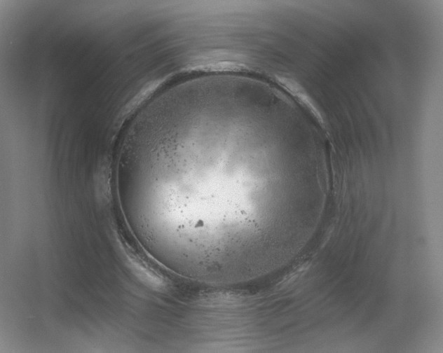 X0000055520533200508121046