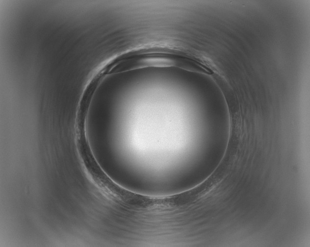 X0000055520536200508121046