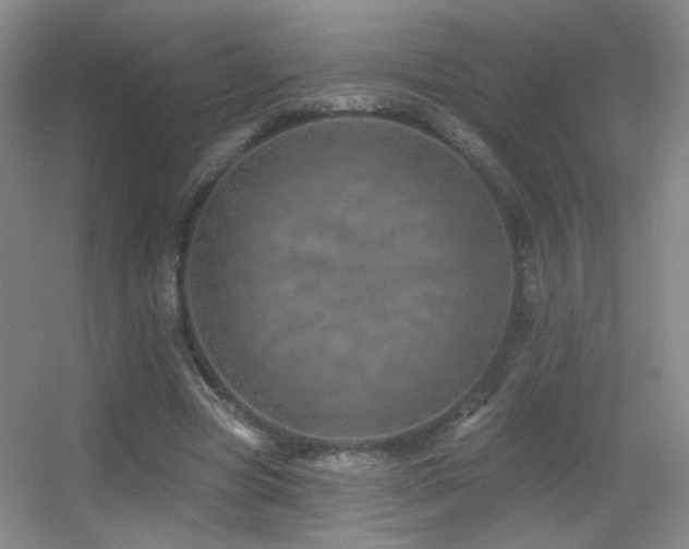 X0000055520537200508121046