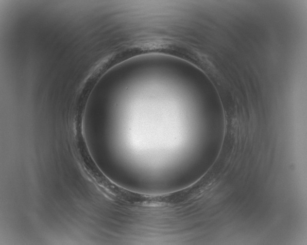 X0000055520539200508121046