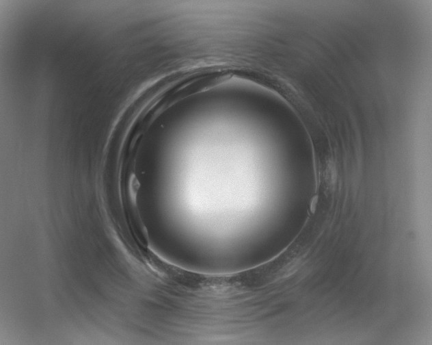 X0000055520540200508121046
