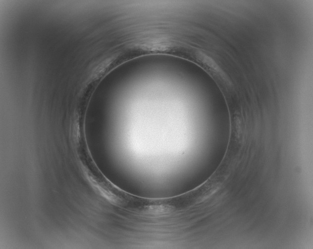 X0000055520541200508121046