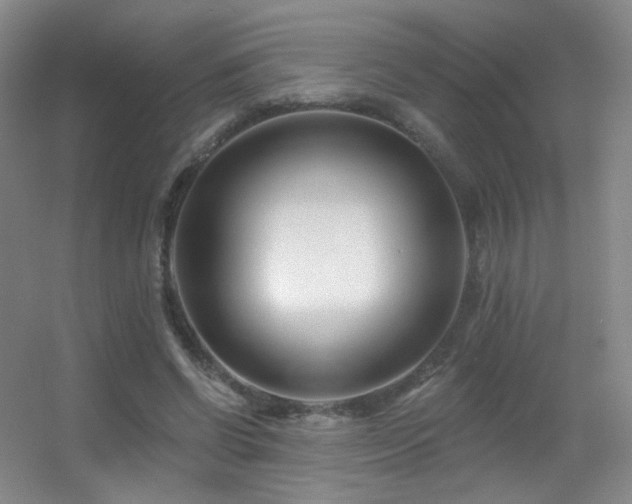 X0000055520542200508121046