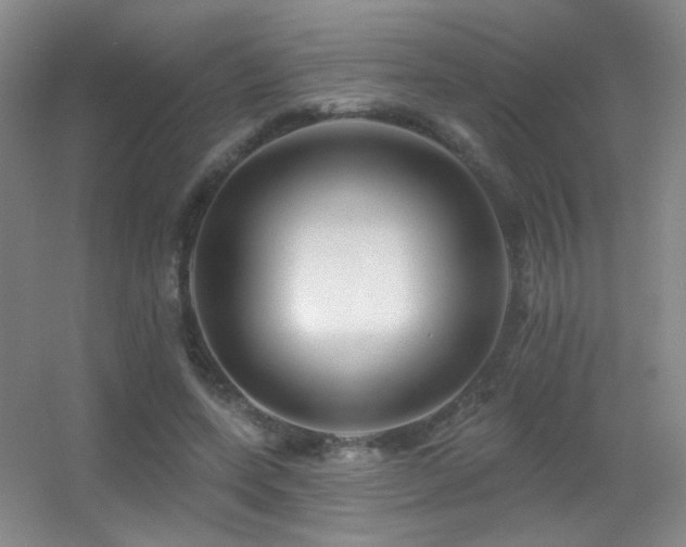 X0000055520543200508121046