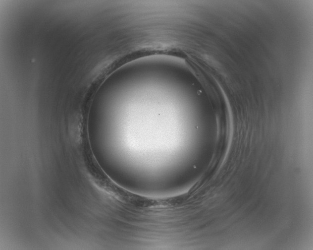 X0000055520544200508121046