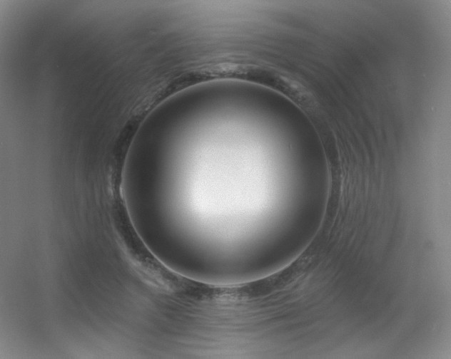 X0000055520546200508121046