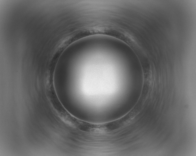 X0000055520548200508121046
