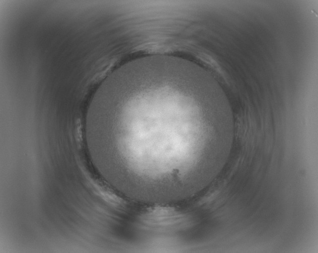 X0000055520549200508121046