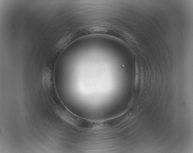 X0000055520550200508121046