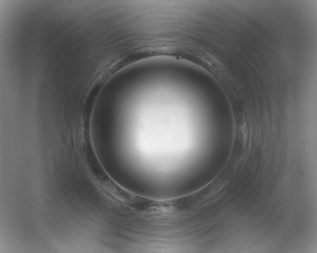 X0000055520552200508121046