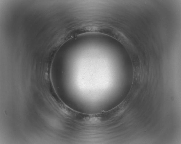 X0000055520553200508121046