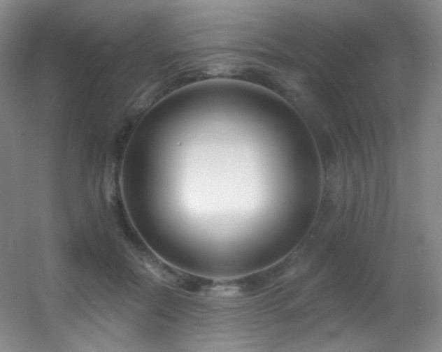 X0000055520554200508121046