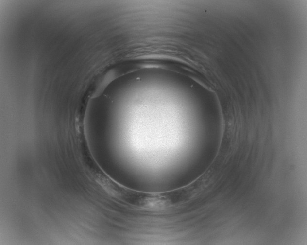 X0000055520555200508121046