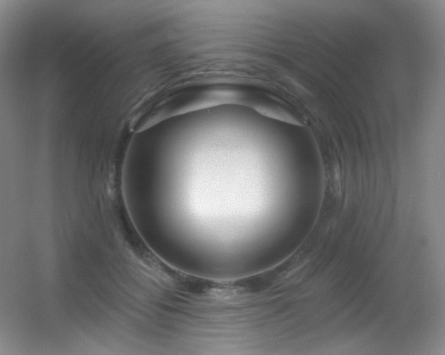 X0000055520556200508121046