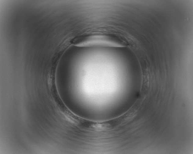 X0000055520558200508121046