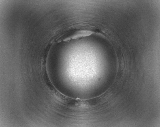 X0000055520559200508121046