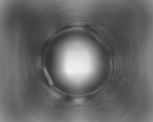 X0000055520560200508121046