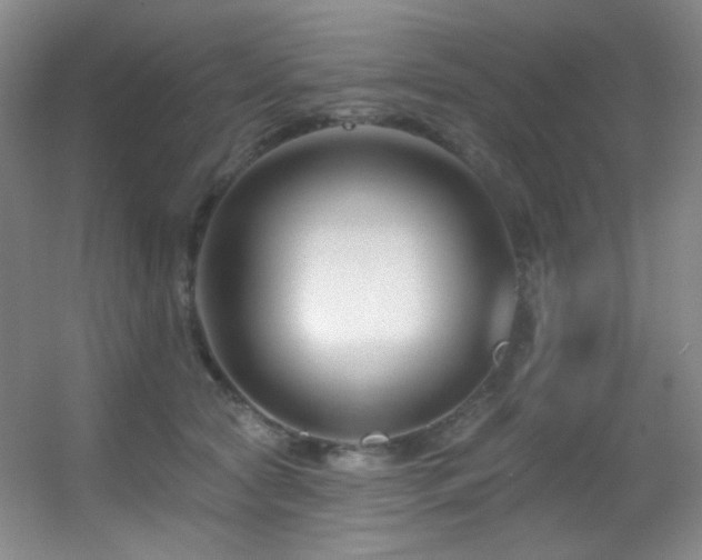 X0000055520561200508121046