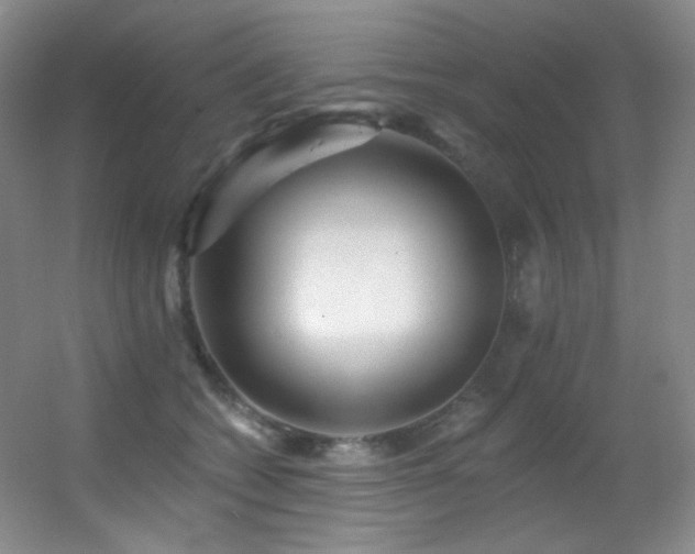 X0000055520562200508121046