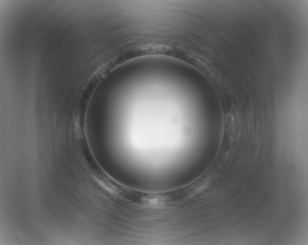 X0000055520564200508121046