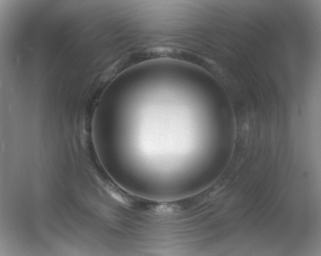 X0000055520566200508121046