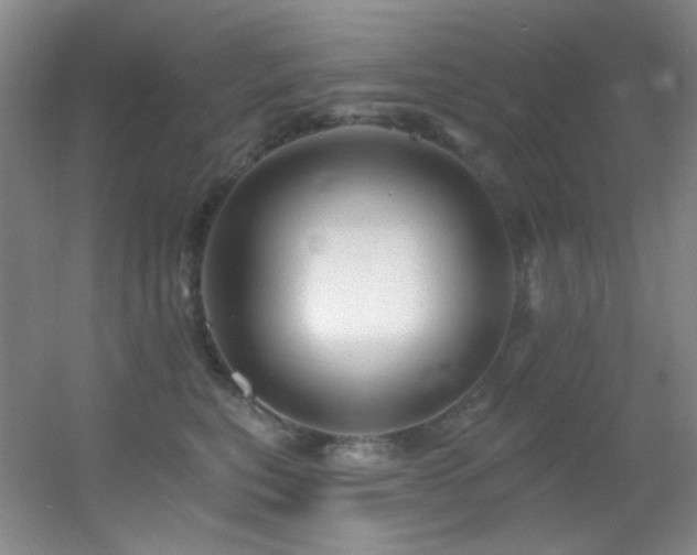 X0000055520567200508121046