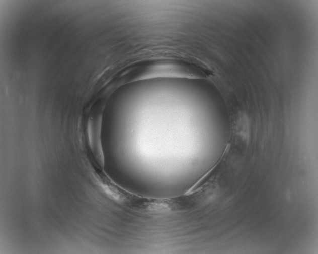 X0000055520572200508121046