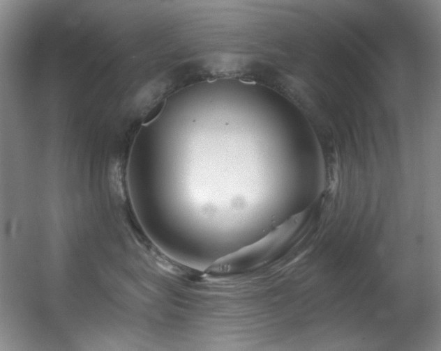 X0000055520575200508121046