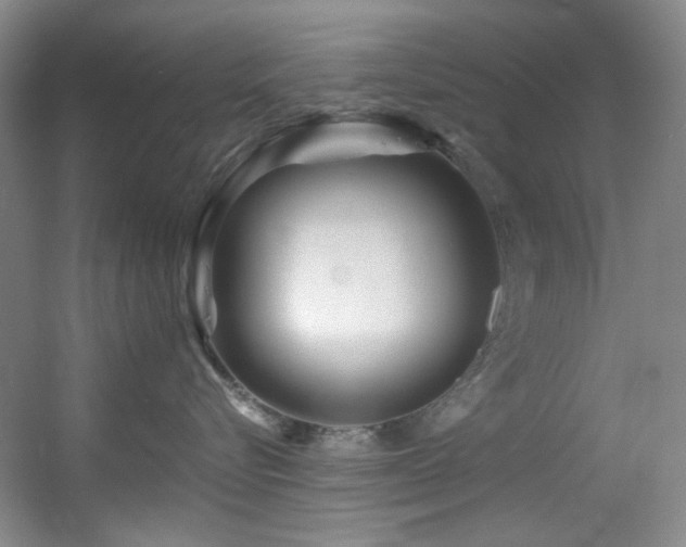 X0000055520576200508121046