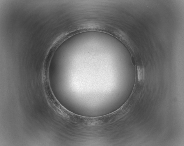 X0000055520579200508121046