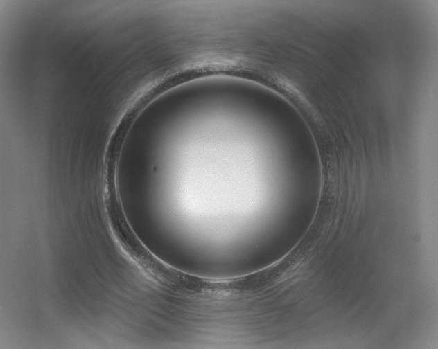 X0000055520582200508121045