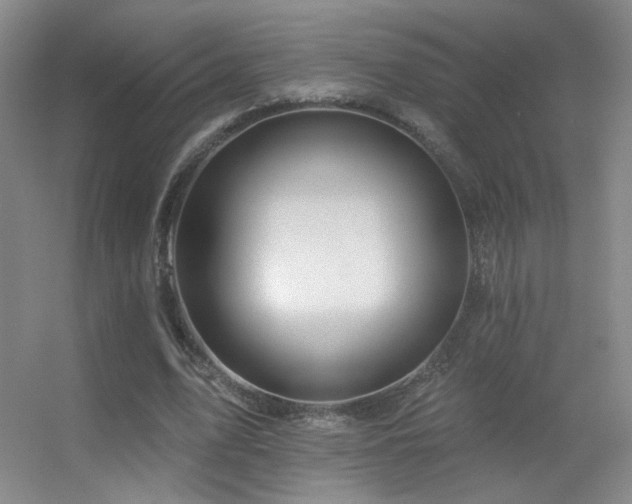 X0000055520583200508121045
