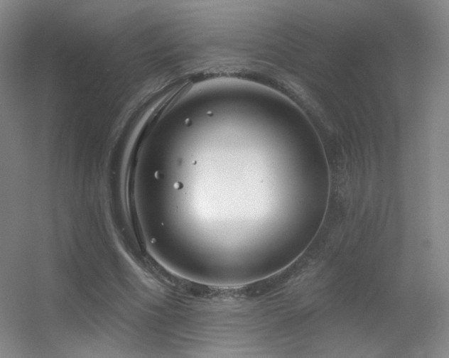 X0000055520586200508121045