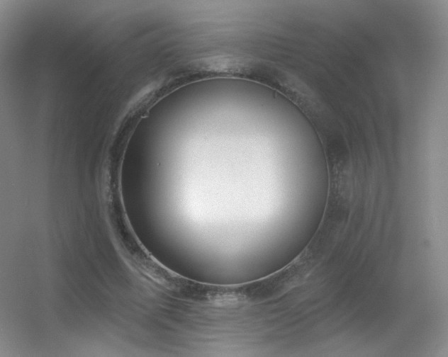 X0000055520587200508121045