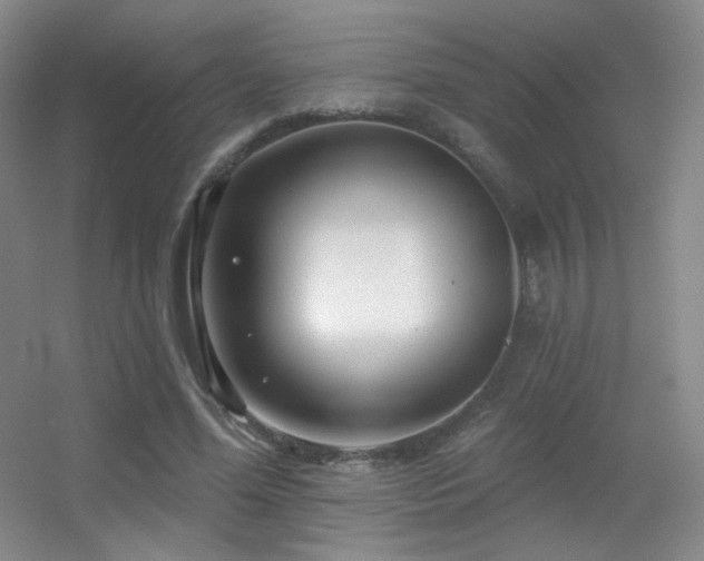 X0000055520588200508121045